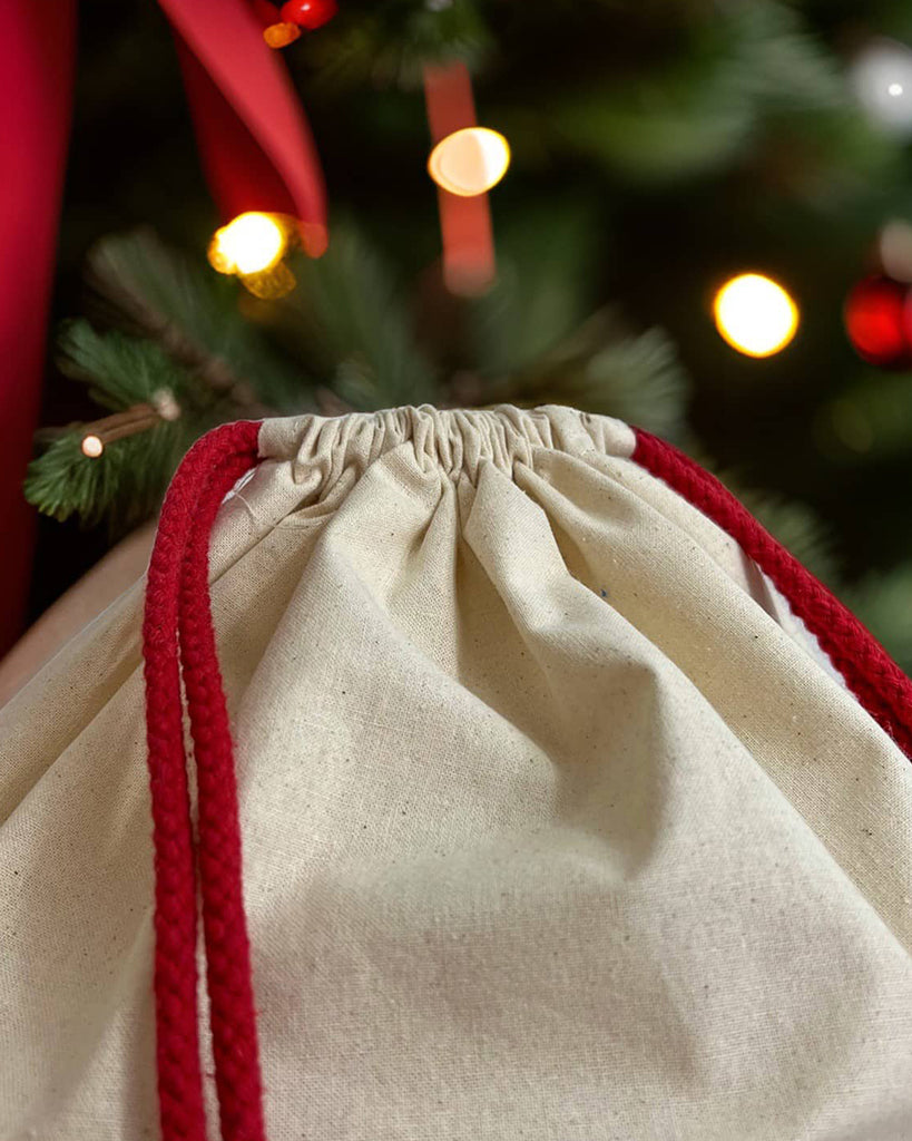 christmas-laundry-bags-tbf