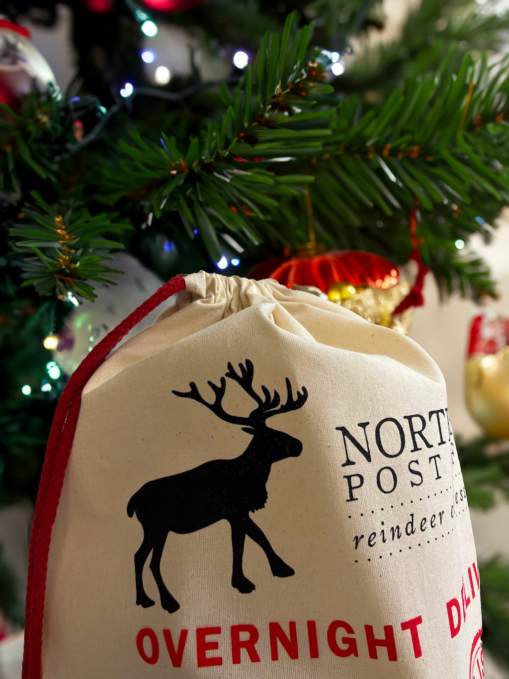 North Pole Printed 24 in Cotton Laundry Bags / Santa Sacks