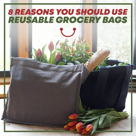 8 Reasons You Should Use Reusable Grocery Bags