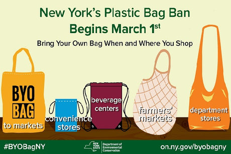 7 Eco-Friendly Tote Bags for Plastic-Free New York Shopping