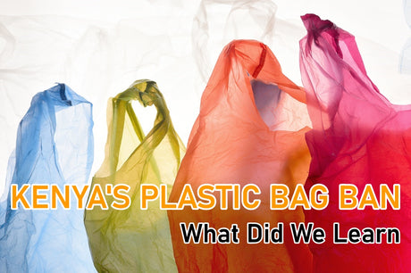 What Did We Learn 2 Years After Kenya's Plastic Bag Ban?