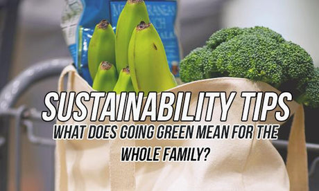 Sustainability Tips - What Does Going Green Mean for the Whole Family?