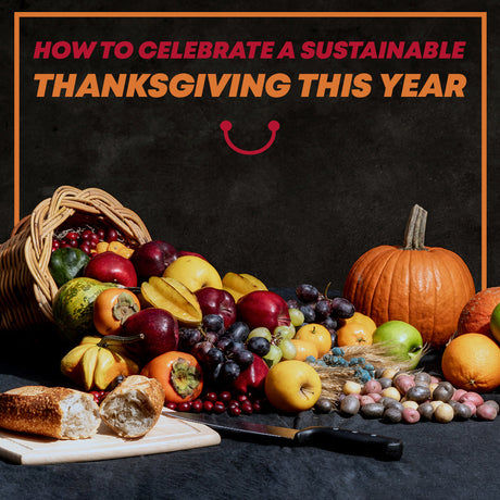 thanksgiving setting with pumpkins