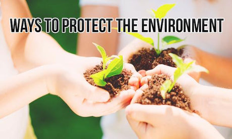 Best Ways to Protect the Environment if you are a Teenager