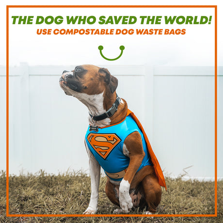 The Dog Who Saved the World! Use Compostable Dog Waste Bags