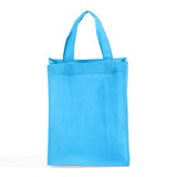 non woven aqua gift bag