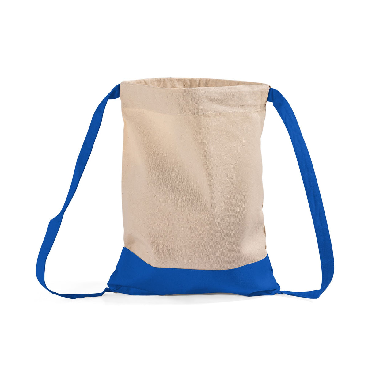 Two Tone Royal Sport Bag